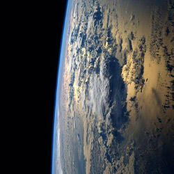 image credit | little wows by liz tinlin