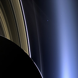 image credit | little wows by liz tinlin